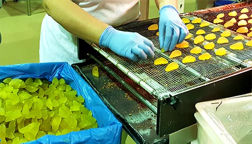 Dulces semiartesanos: así se procesa la fruta confitada para pastelerías de Lazaya destinada a las frutas de Aragón.