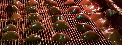 Golpe de calor y frío: el secreto de las frutas de Aragón hecha con nuestra fruta confitada para pastelerías.