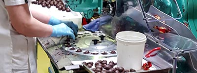 Fruta confitada para pastelerías: baño de chocolate de las frutas de Aragón.