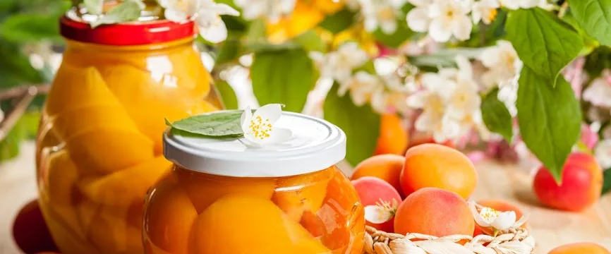 Degrees brix in preserved fruits