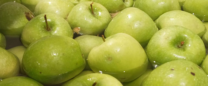 Production of canned apple in syrup at Lazaya
